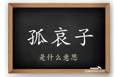 孤哀子