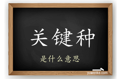 关键种