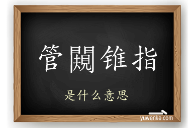 管闚锥指