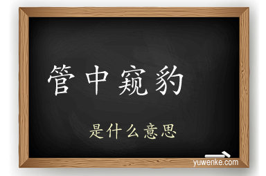 管中窥豹