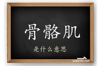 骨骼肌