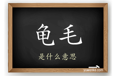龟毛