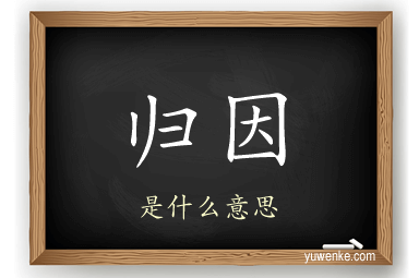 归因