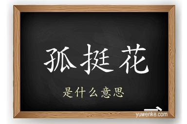 孤挺花