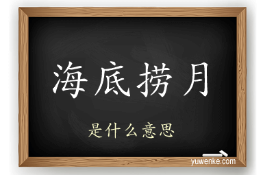 海底捞月