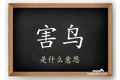 害鸟
