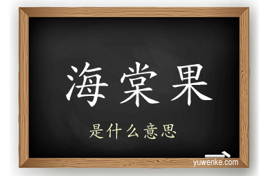 海棠果