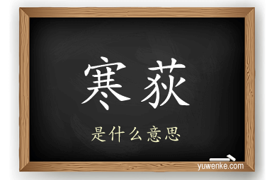 寒荻