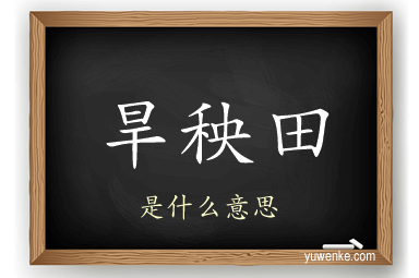 旱秧田