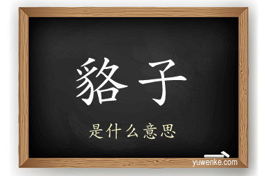 貉子