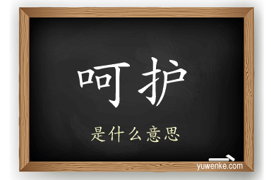 呵护