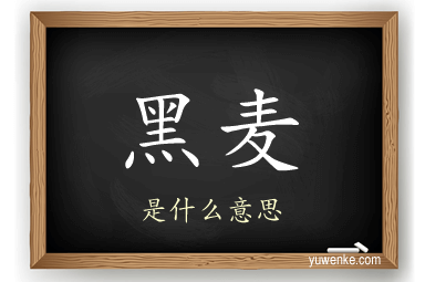 黑麦