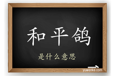 和平鸽