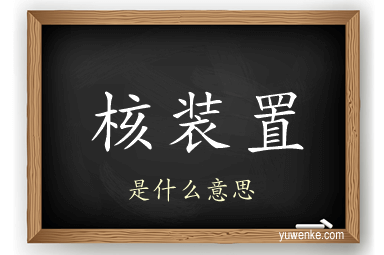 核装置