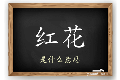 红花