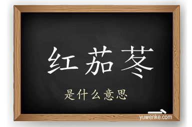 红茄苳