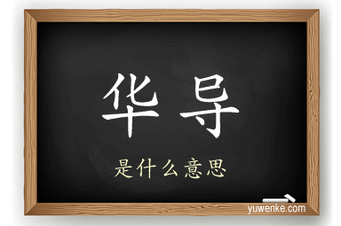 华导