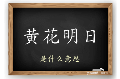 黄花明日