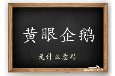 黄眼企鹅
