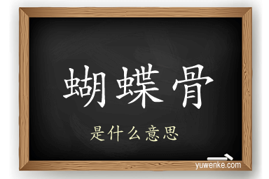 蝴蝶骨