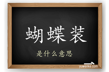 蝴蝶装