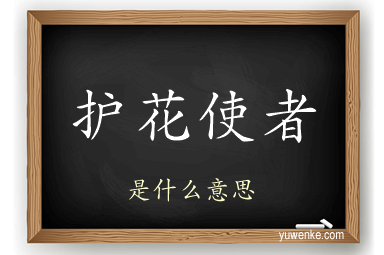 护花使者