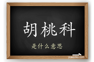 胡桃科