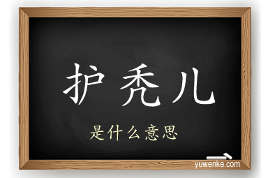 护秃儿