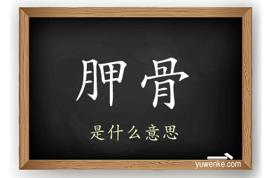 胛骨