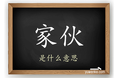 家伙