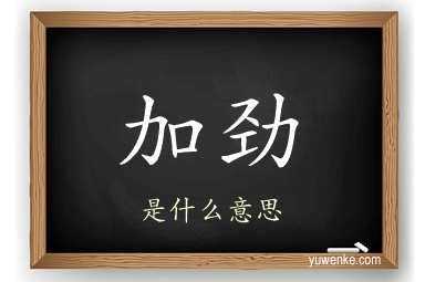 加劲
