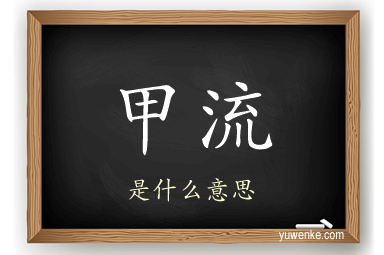 甲流