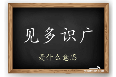 见多识广