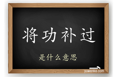 将功补过