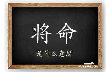 将命