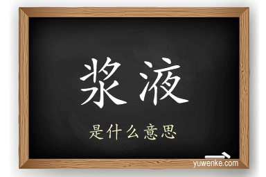 浆液