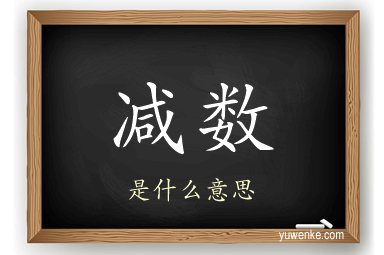 减数