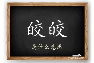 皎皎