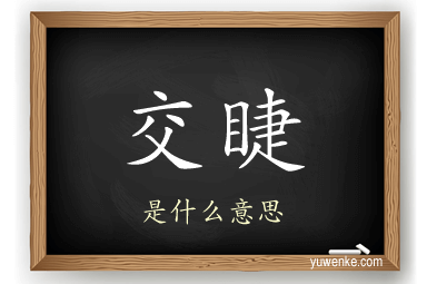 交睫