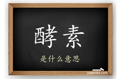 酵素