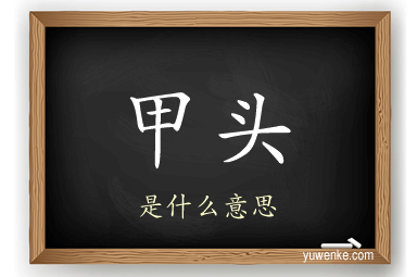 甲头