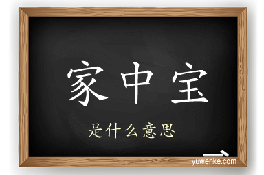家中宝