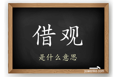 借观