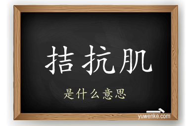 拮抗肌