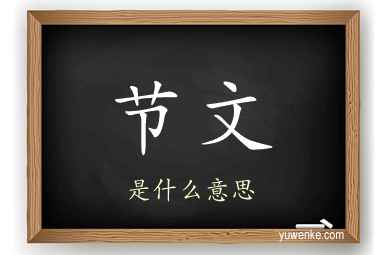 节文