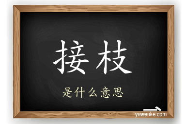 接枝
