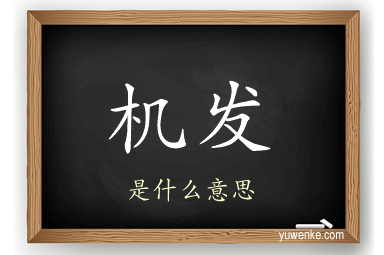 机发