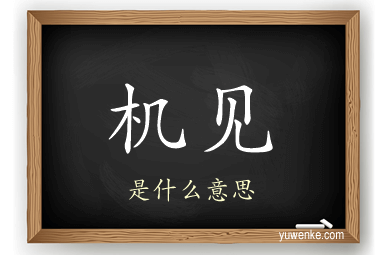 机见