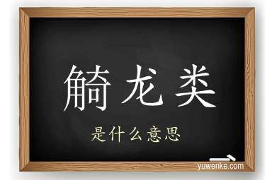 觭龙类