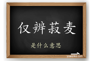 仅辨菽麦